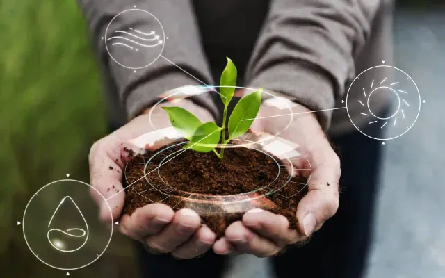 Abogados especializados en medio ambiente