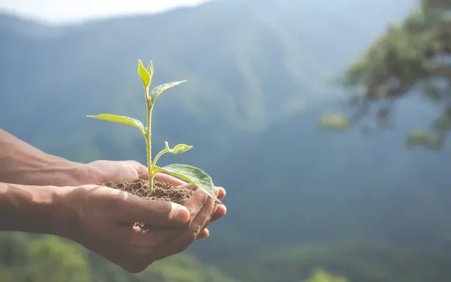 Derecho ambiental en Ecuador