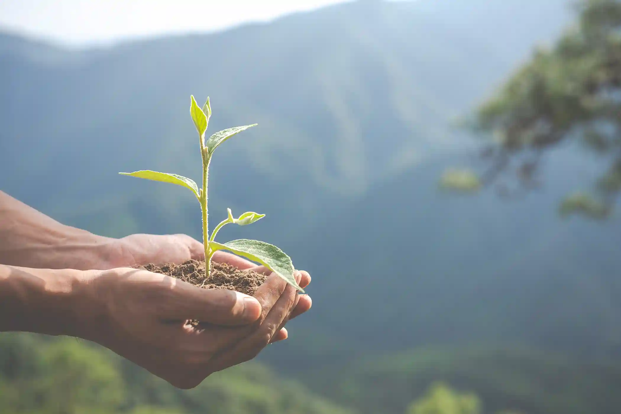 Derecho ambiental en Ecuador